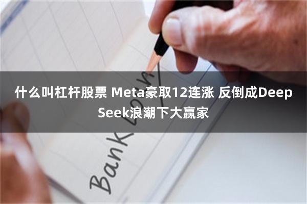 什么叫杠杆股票 Meta豪取12连涨 反倒成DeepSeek浪潮下大赢家