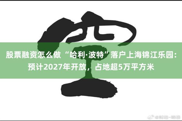 股票融资怎么做 “哈利·波特”落户上海锦江乐园：预计2027年开放，占地超5万平方米