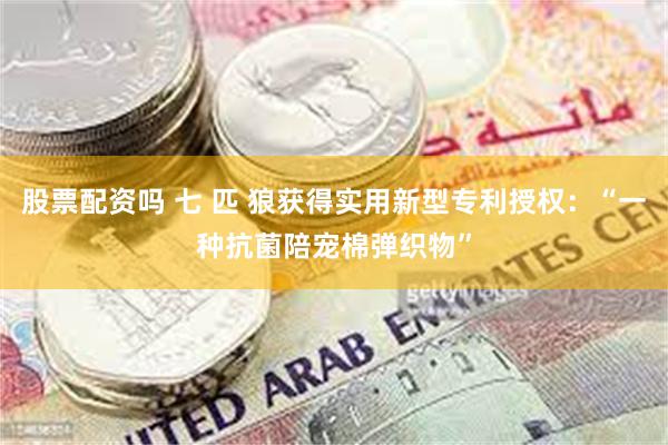 股票配资吗 七 匹 狼获得实用新型专利授权：“一种抗菌陪宠棉弹织物”