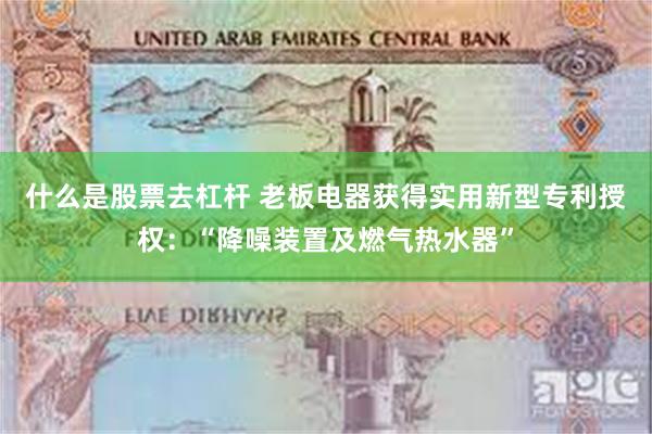 什么是股票去杠杆 老板电器获得实用新型专利授权：“降噪装置及燃气热水器”
