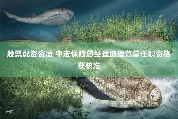股票配资资质 中宏保险总经理助理范晶任职资格获核准