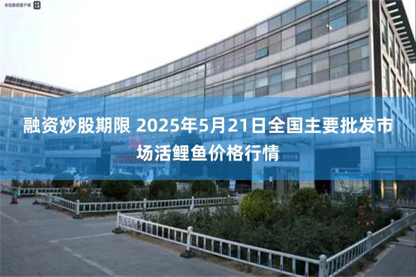 融资炒股期限 2025年5月21日全国主要批发市场活鲤鱼价格行情