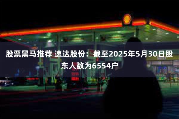 股票黑马推荐 速达股份：截至2025年5月30日股东人数为6554户