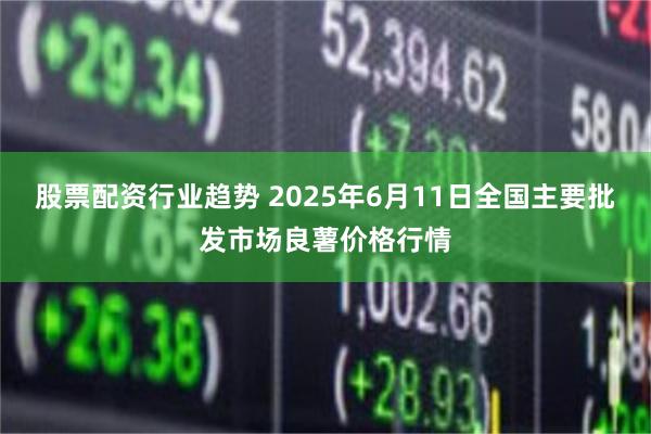 股票配资行业趋势 2025年6月11日全国主要批发市场良薯价格行情
