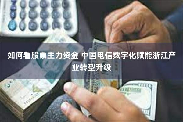 如何看股票主力资金 中国电信数字化赋能浙江产业转型升级