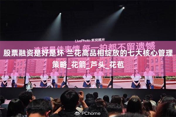 股票融资是好是坏 兰花高品相绽放的七大核心管理策略_花箭_芦头_花苞