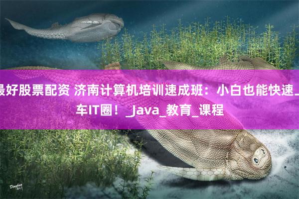 最好股票配资 济南计算机培训速成班：小白也能快速上车IT圈！_Java_教育_课程