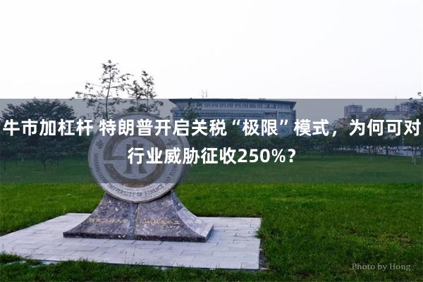 牛市加杠杆 特朗普开启关税“极限”模式，为何可对行业威胁征收250%？