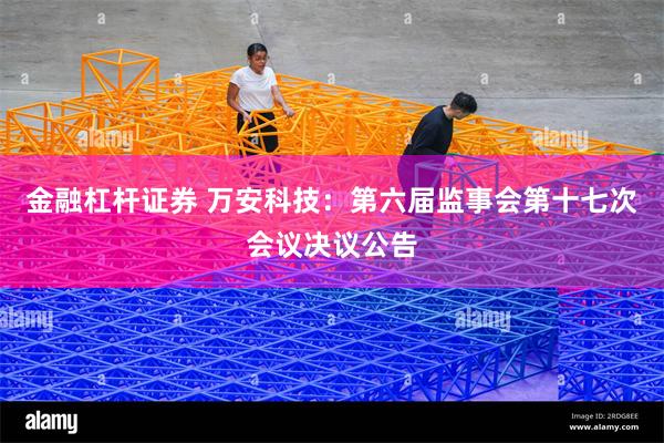 金融杠杆证券 万安科技：第六届监事会第十七次会议决议公告