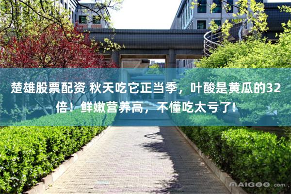 楚雄股票配资 秋天吃它正当季，叶酸是黄瓜的32倍！鲜嫩营养高，不懂吃太亏了!